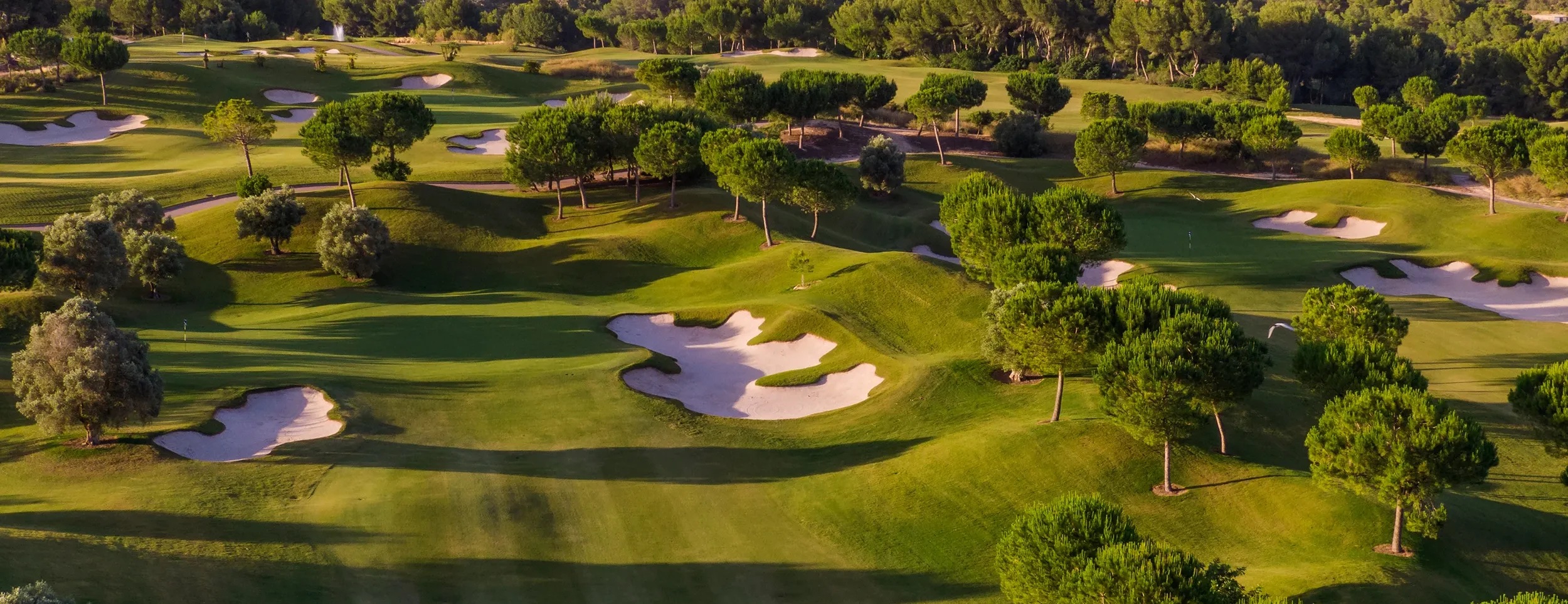 las colinas 4