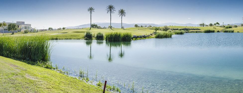 Albroán Golf