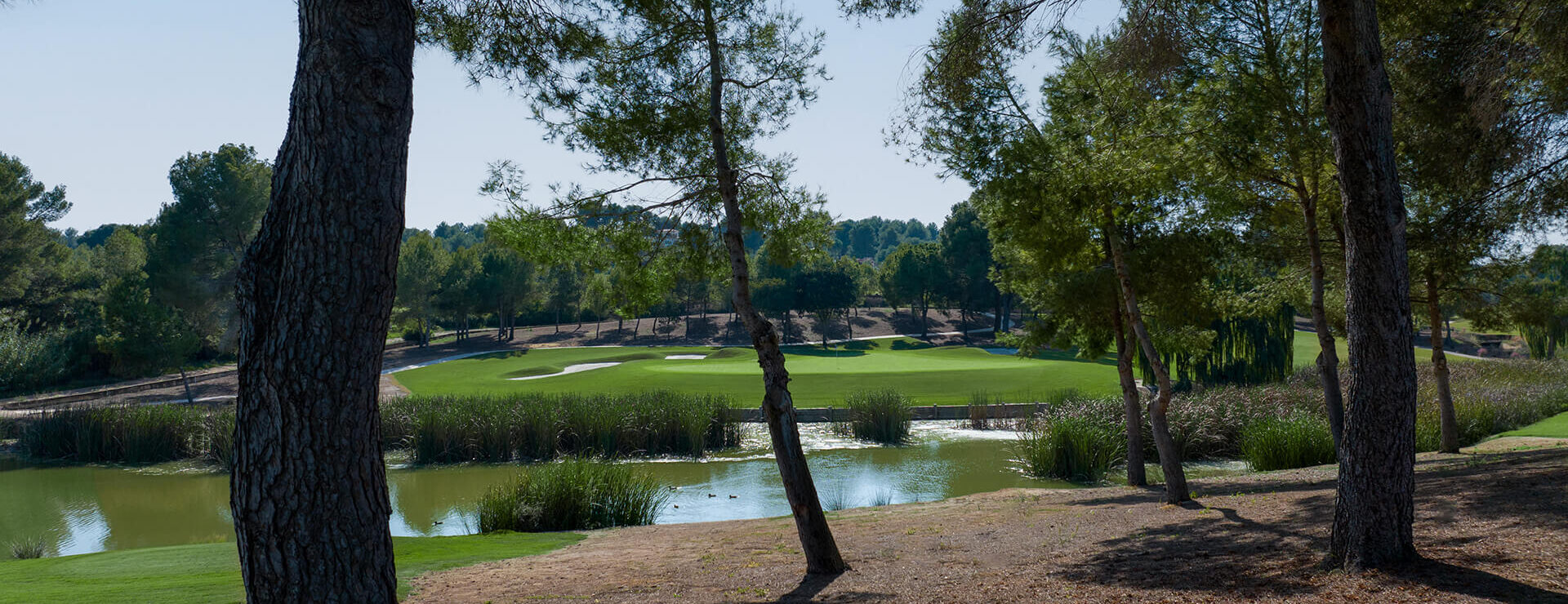 Club de Golf El Bosque