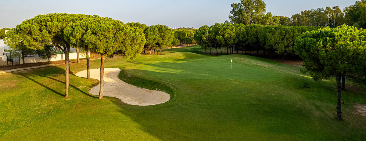 la monacilla 2