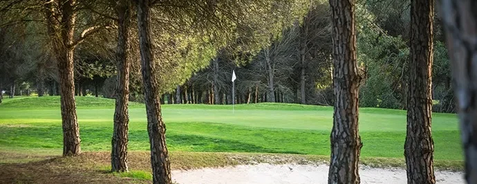 la monacilla 4